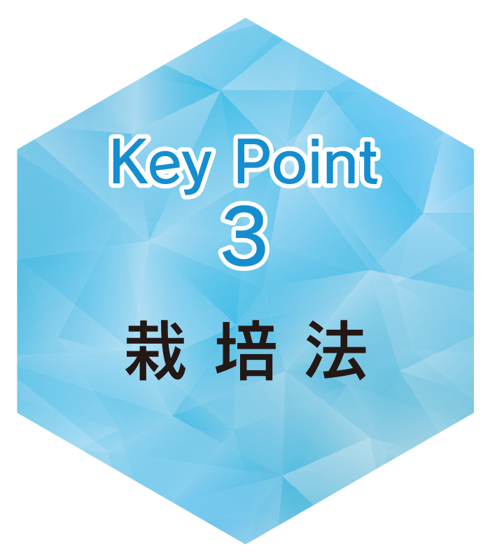 key3