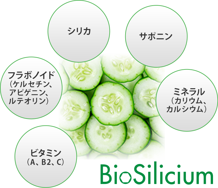 bio cilicium