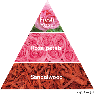 Fresh Rose Rose petals Sandalwood