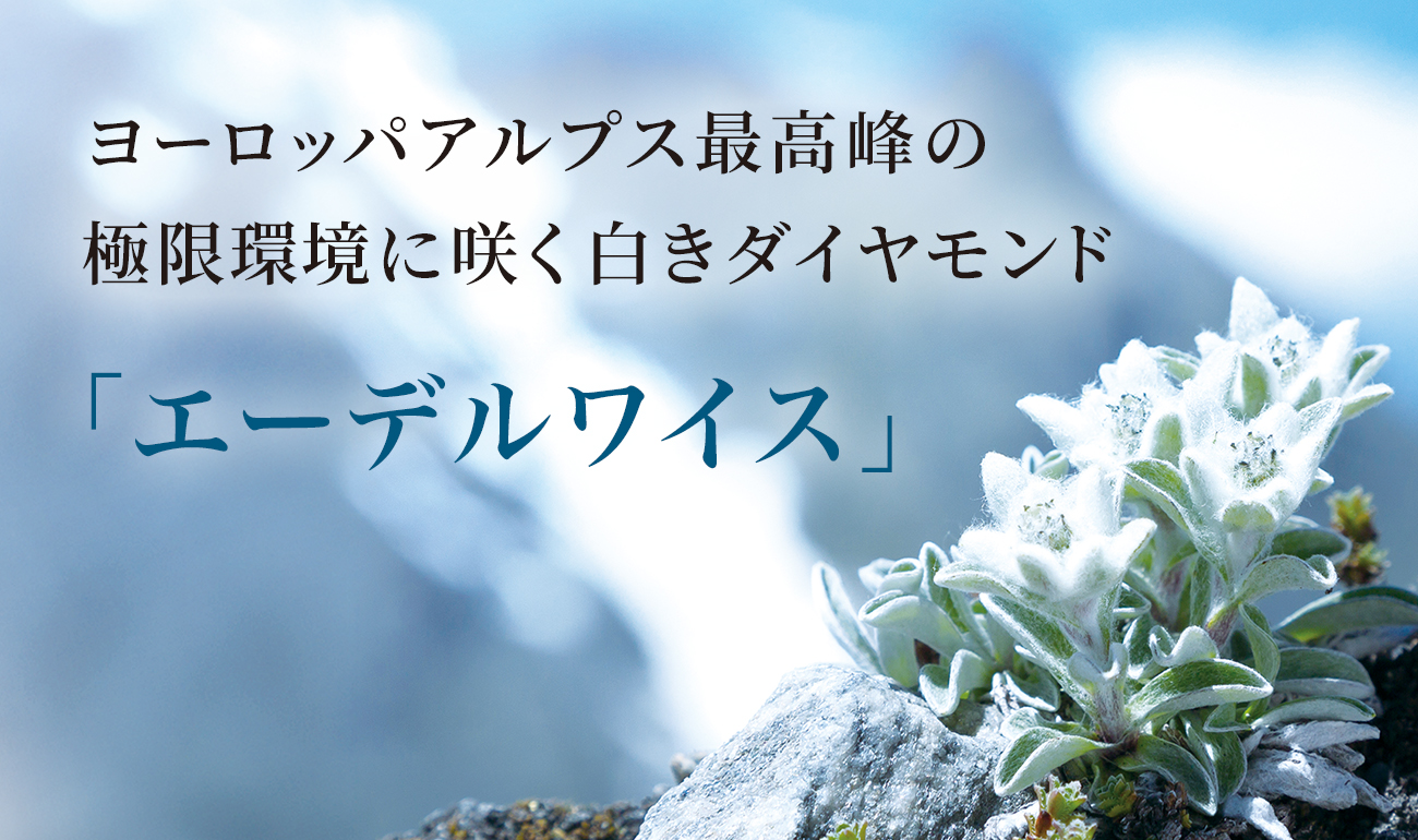 アルピニスト サイエンス