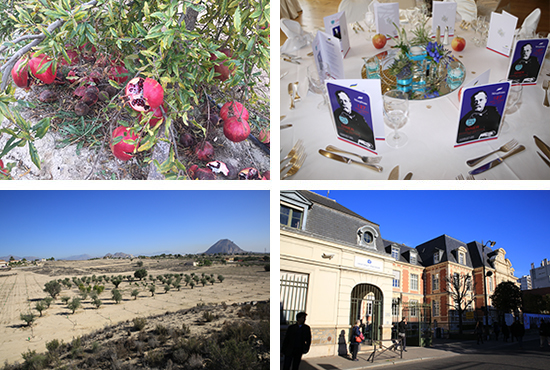 フランス研修旅行