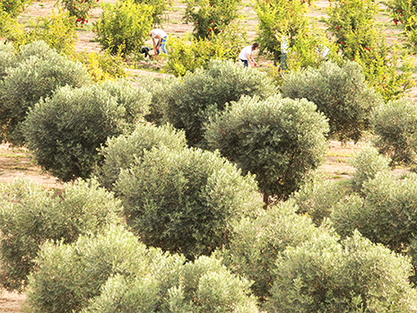 人から人へ-MLM事業に参入 人から人へ-MLM事業に参入